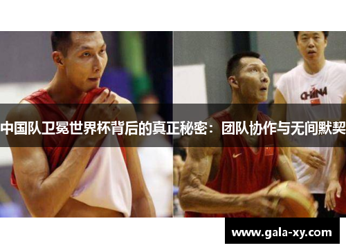中国队卫冕世界杯背后的真正秘密：团队协作与无间默契