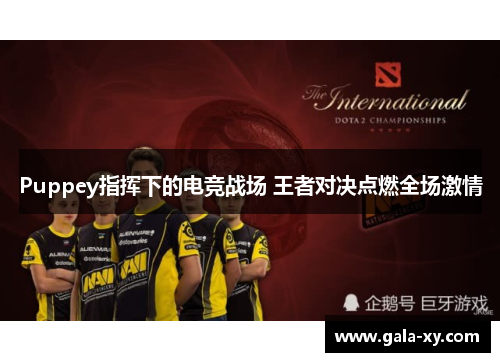 Puppey指挥下的电竞战场 王者对决点燃全场激情