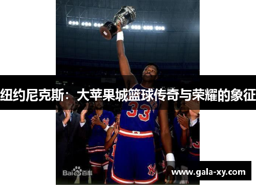 纽约尼克斯：大苹果城篮球传奇与荣耀的象征