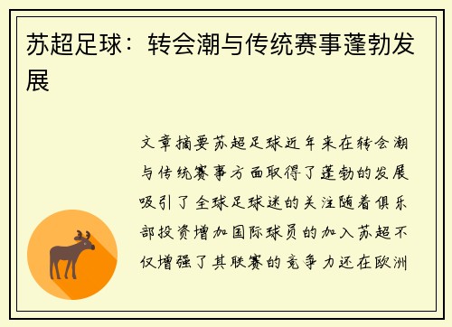 苏超足球：转会潮与传统赛事蓬勃发展